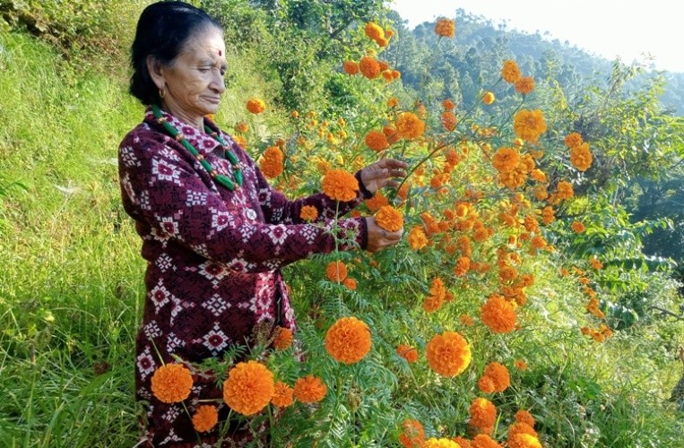 ज्ञानकुमारीका बारीभरी फूलैफूल