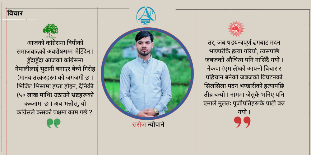 दलहरू कहाँ चुके ? समाजवादको आलोकबाट हेर्दा,