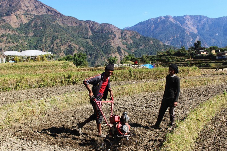 मिनी टेलर बाग्लुङका किसानको सहयात्री