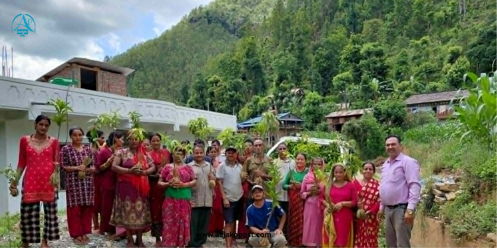 झिमरुकका किसानलाई १ हजार ७ सय वटा फलफूलका बिरुवा वितरण