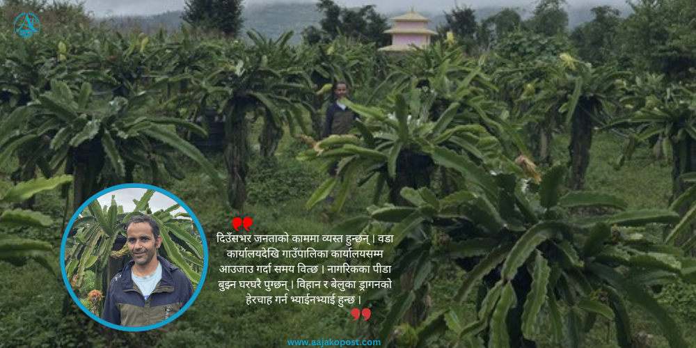 जनप्रतिनिधीको लोभलाग्दो ड्रागनखेती